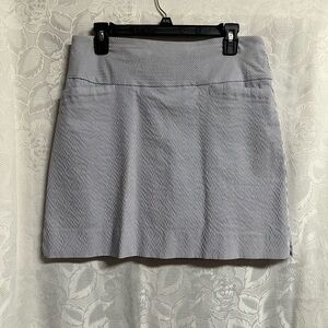 Striped A-Line Women's Skort - Blue/White